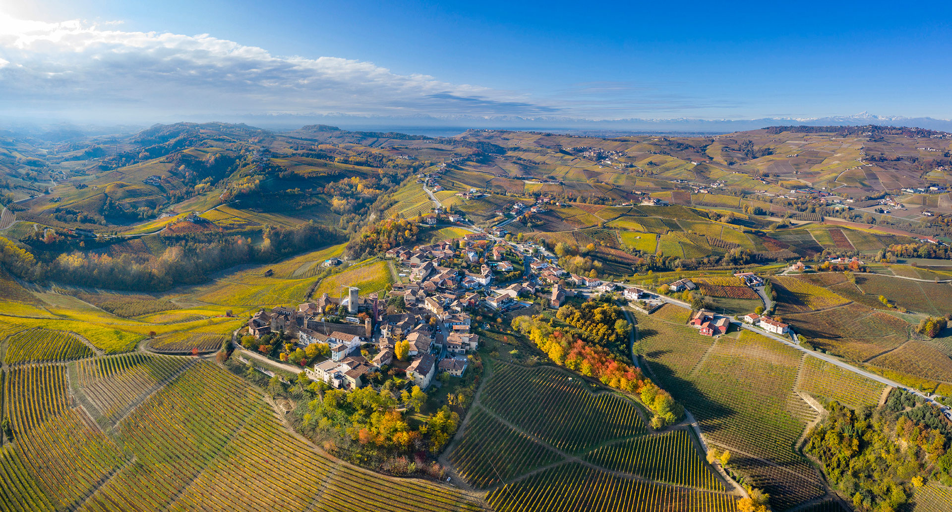 Homepage - Vietti