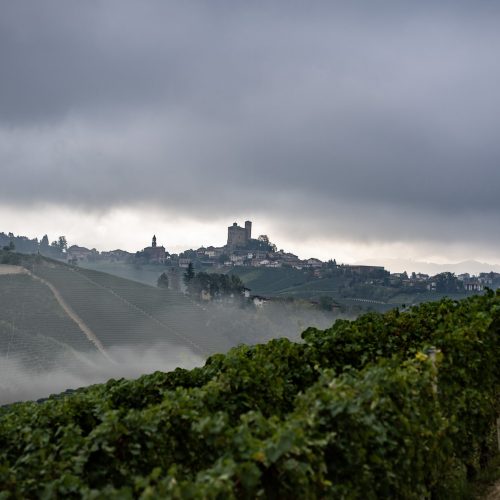 L’autunno, il foliage e la nebbia da Vietti